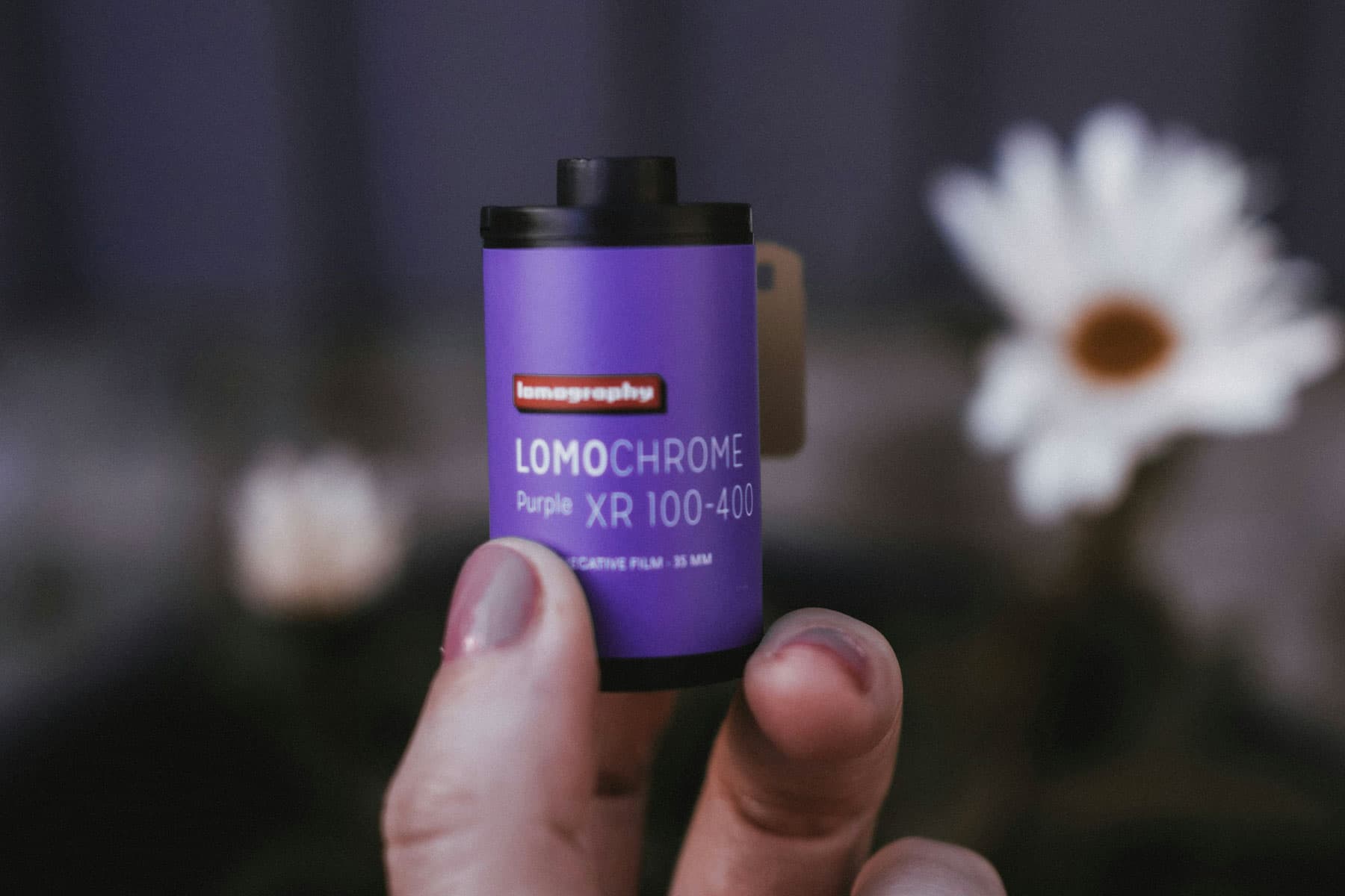 Lomochrome Purple Review: False-Color Film for Creative Photography