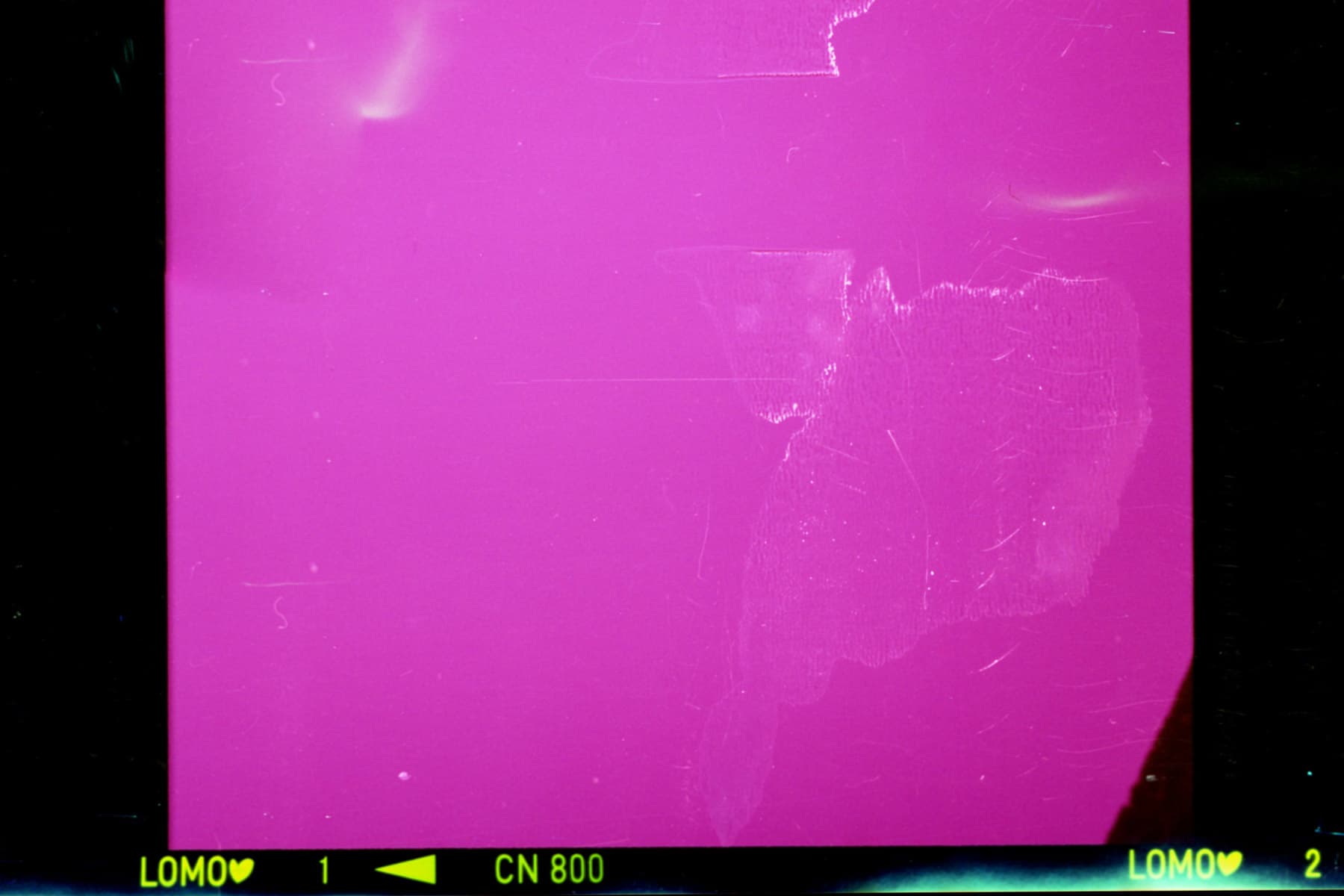 Lomography Color Negative 800 Review: Affordable High-Speed Film