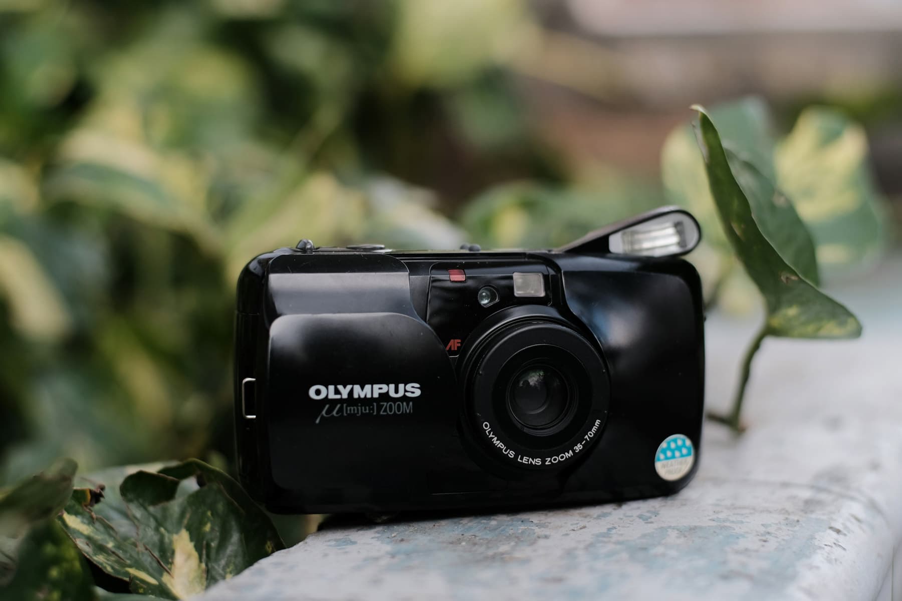 Olympus Stylus (Mju I) Review: The Affordable Compact Worth Buying