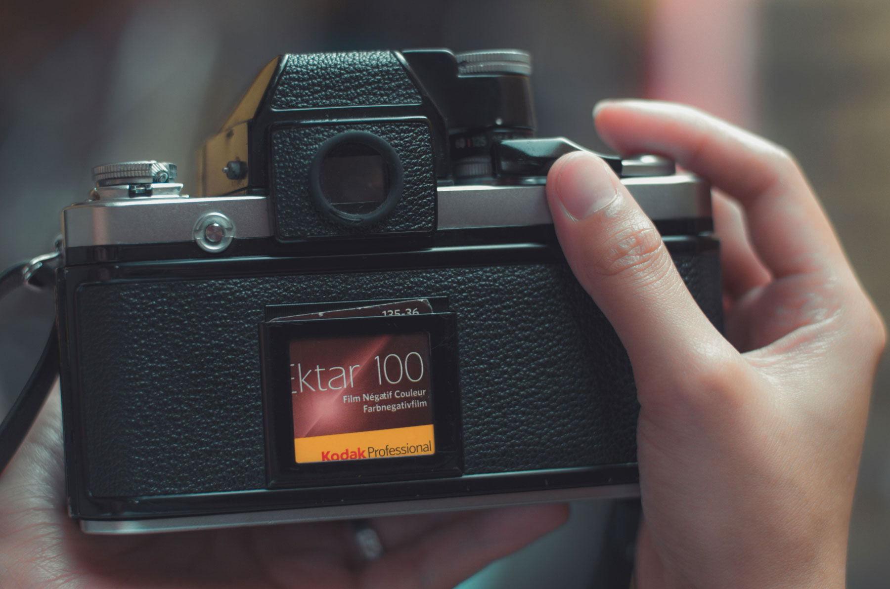 Kodak Ektar 100 Review: The Sharpest, Most Saturated Film Debate