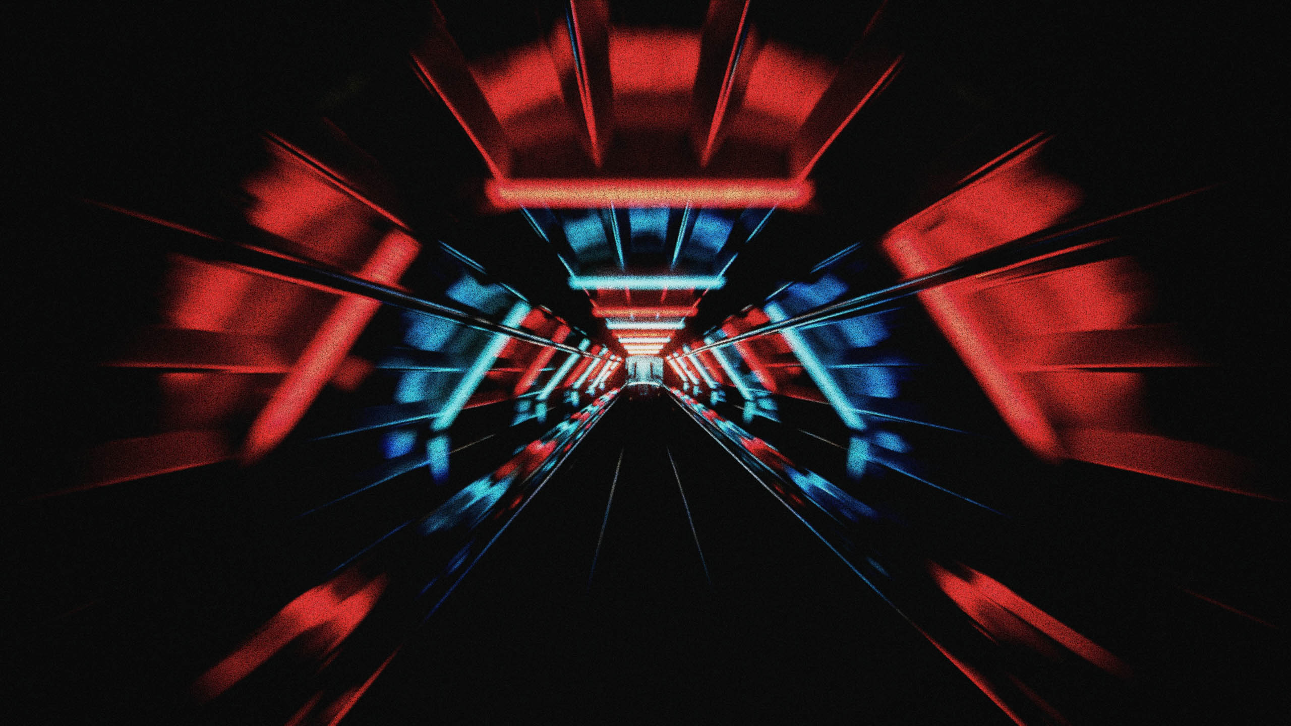 What We Built - Daydream Film feature showcase